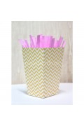 Chevron Pattern Popcorn Box